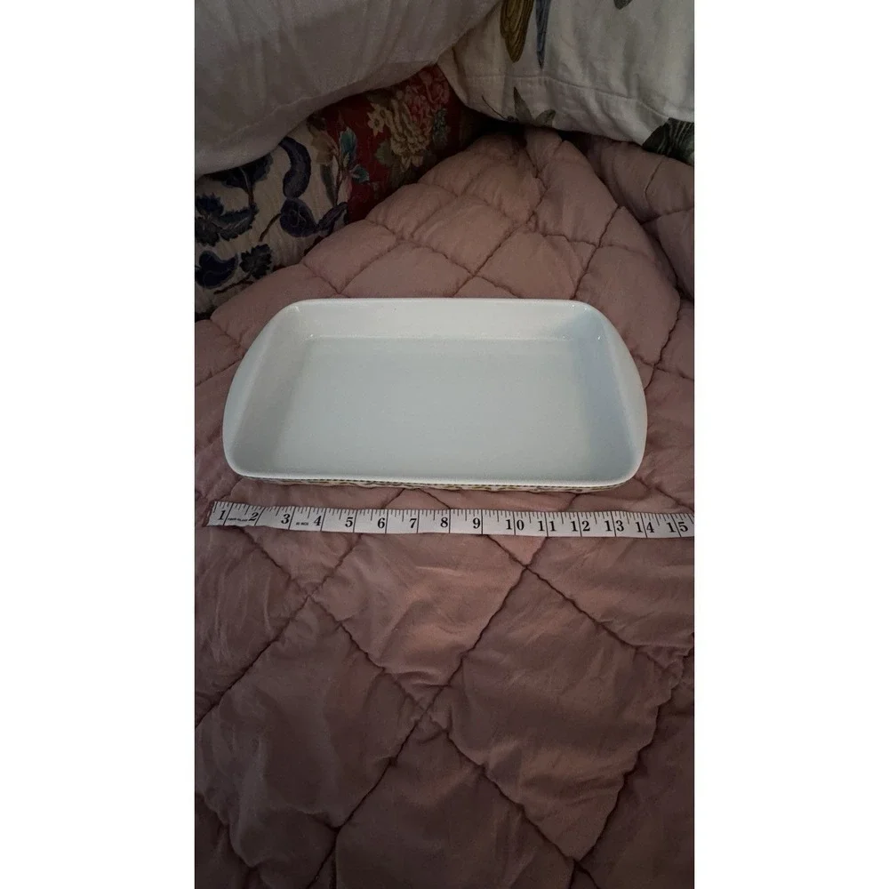 Vtg Porcelaine du Reussy France Lemon Baking Dish‎ Cathie B Citrus Rectangular